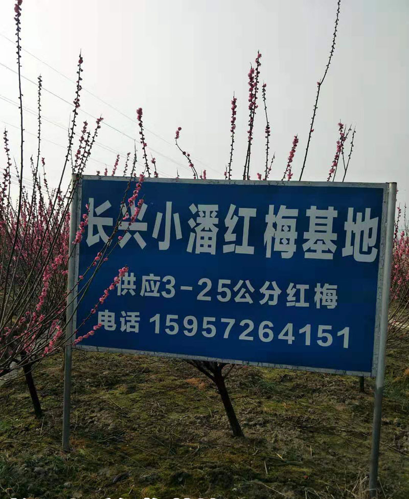 3-25ּt÷